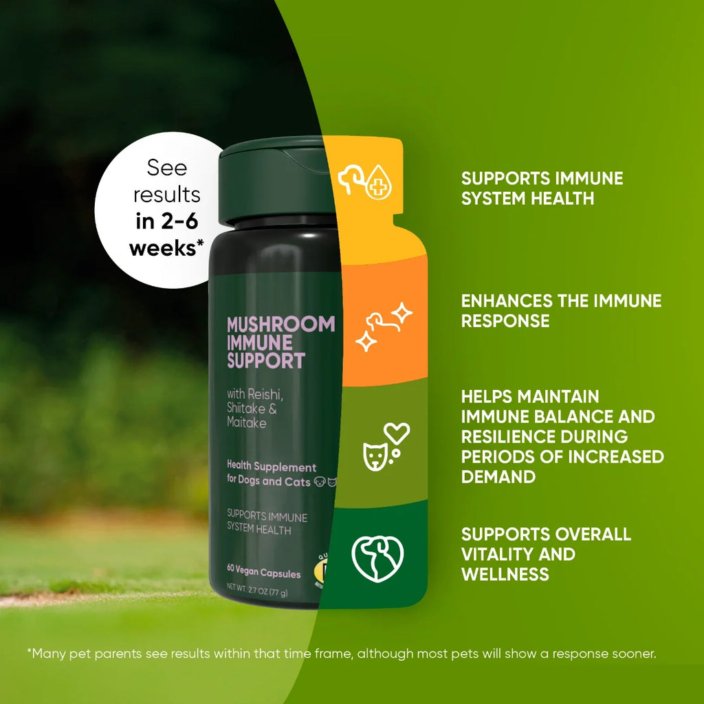 Mushroom Immune Support