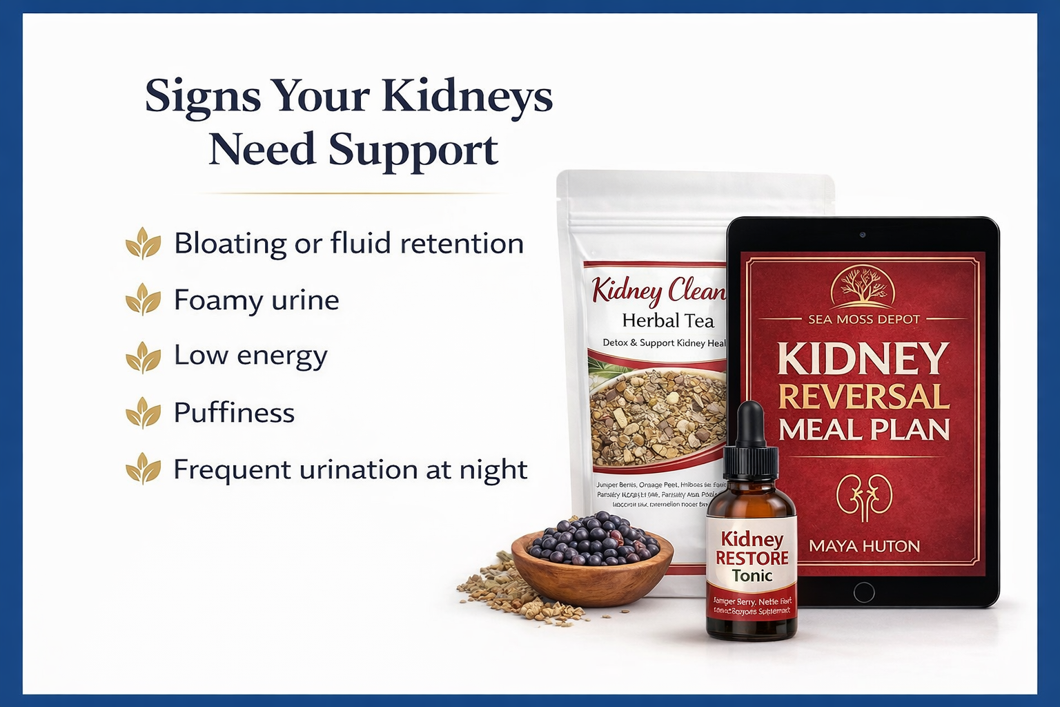 Reclaim Your Kidneys Bundle – Kidney Disease Naturally (Stages 1-5) and Diabetes