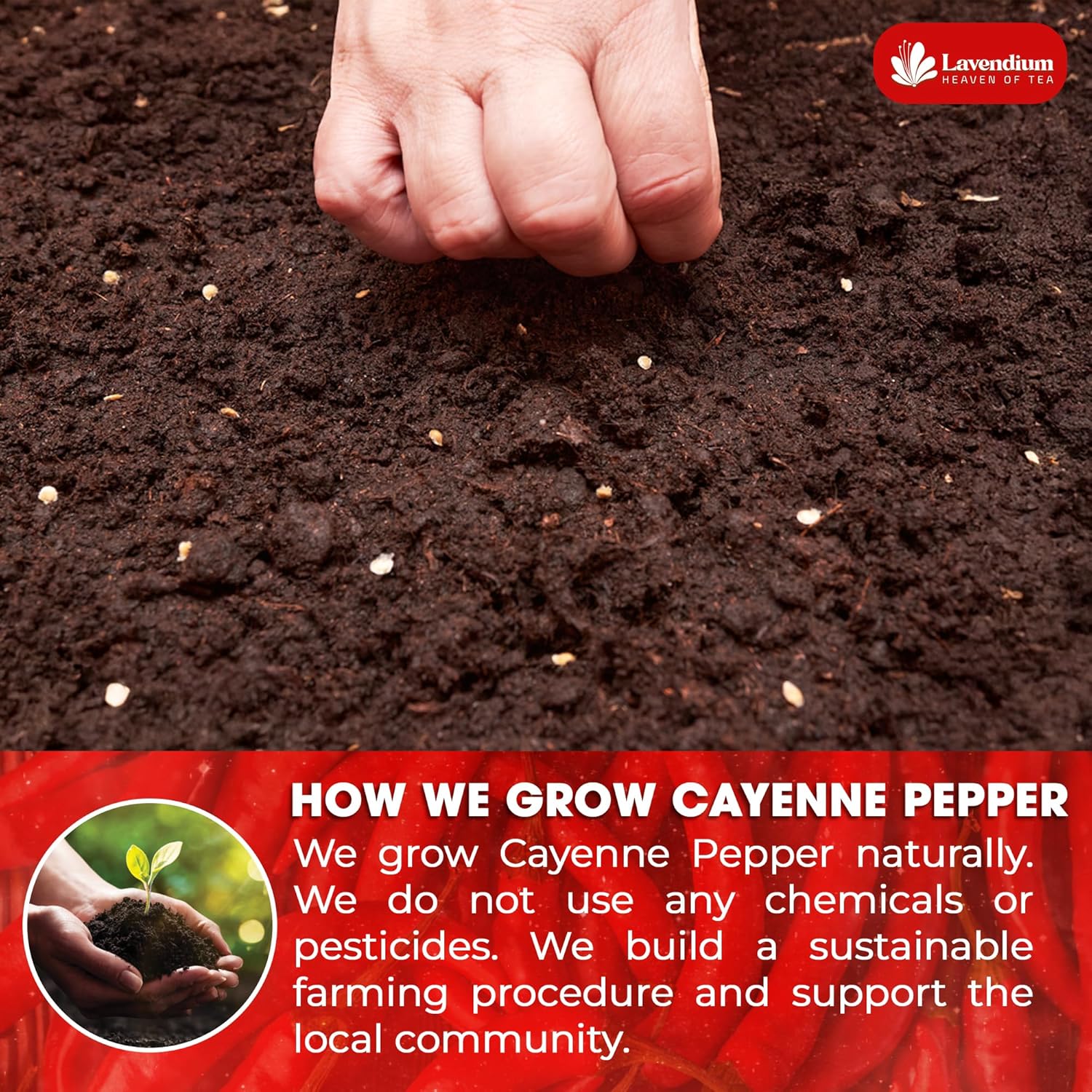 Premium Cayenne Pepper Powder– Pure Ground Red Pepper, Bold and Spicy Flavor