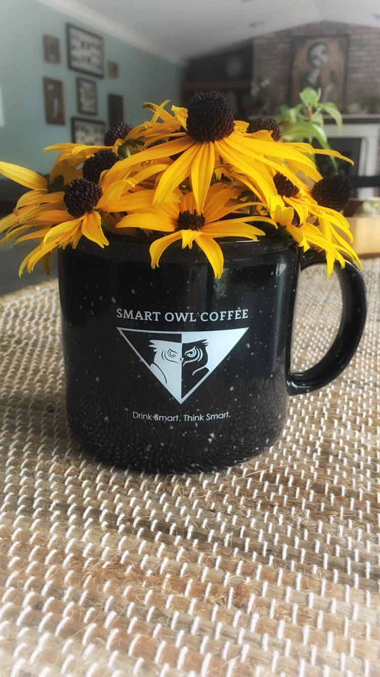 COGNITION BLEND | Cognitive Coffee