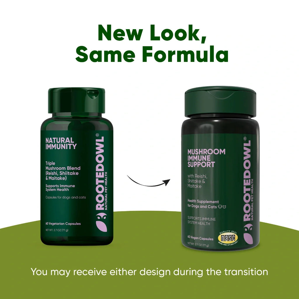 Mushroom Immune Support