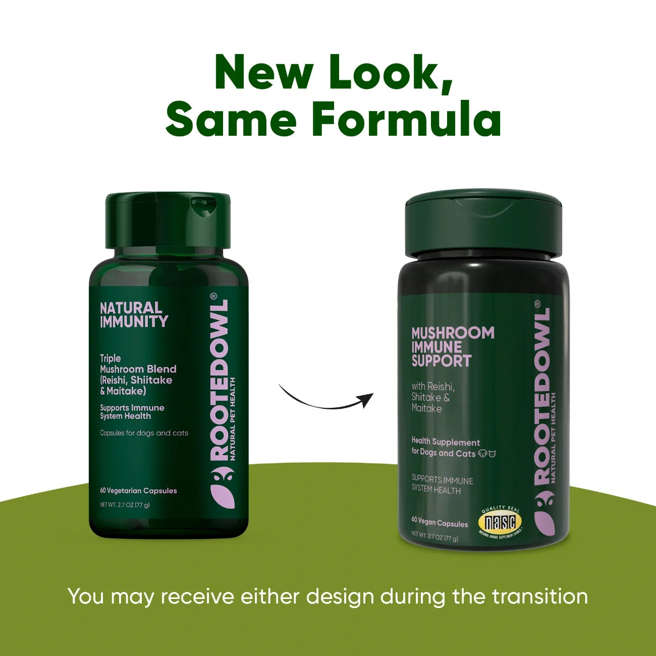 Mushroom Immune Support