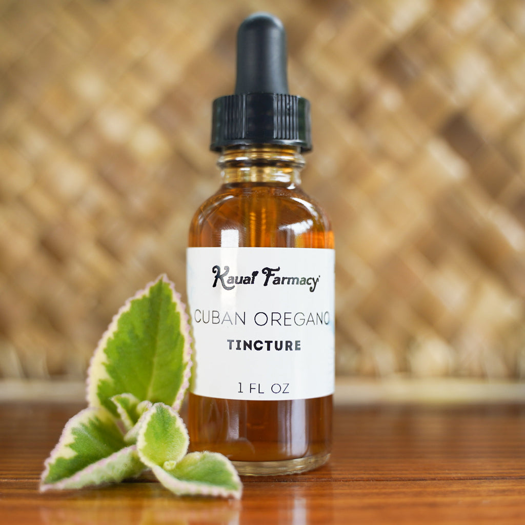 Cuban Oregano Tincture