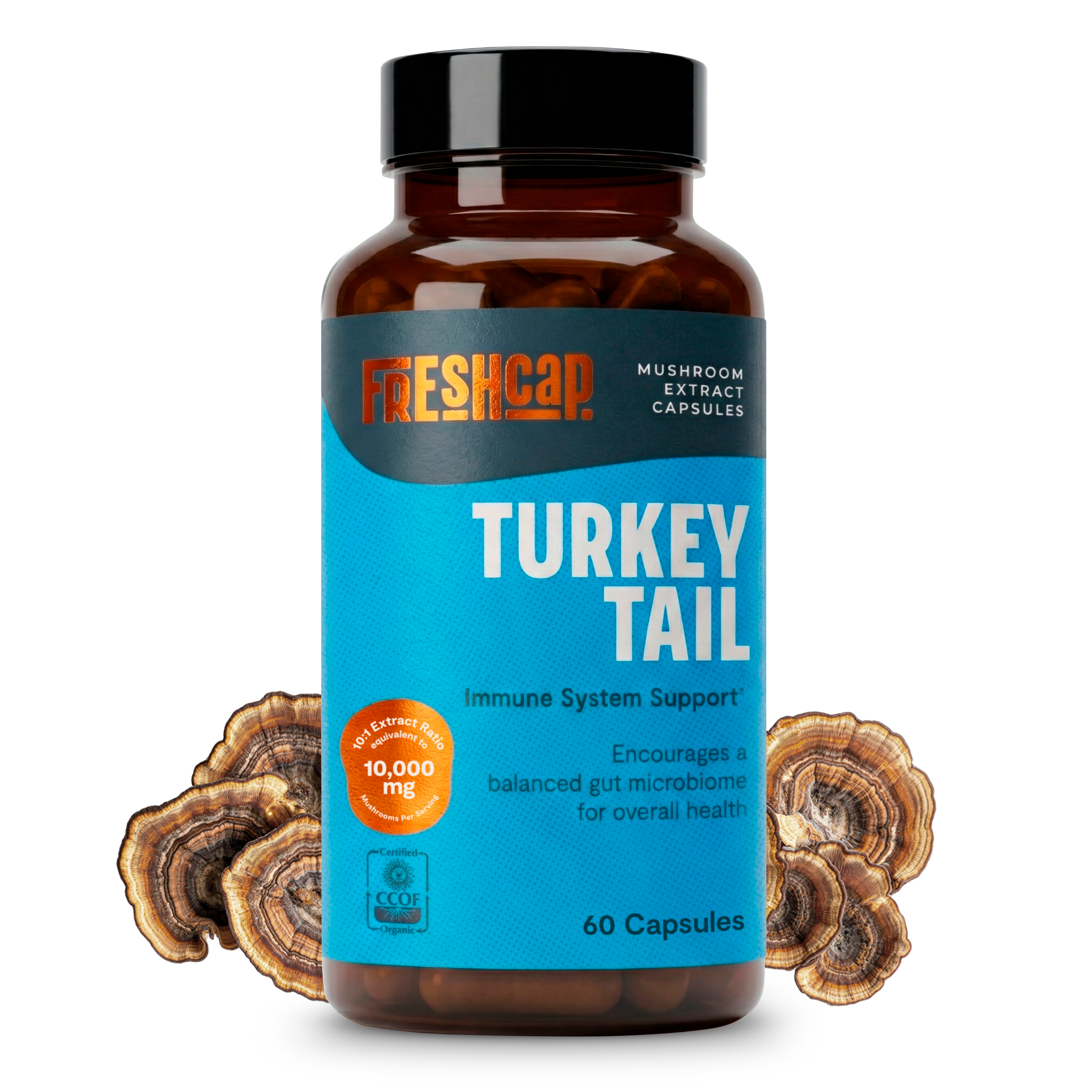 Organic Turkey Tail Mushroom Capsules